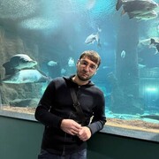 ���������� ���������, ���� ������� MMA, 31 ���, ������������ ��� ������, ����� � ���������