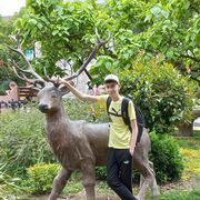 ���������� �������, ���� ����� �������, 22 ����, ������������ ��� ������, ����� � ���������