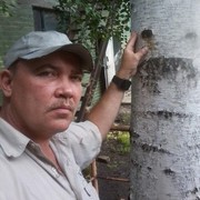  -,   , 58 ,     , c 