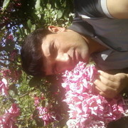 ���������� �������, ���� ������� �������46, 40 ���, ������������ ��� ������