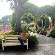  ,   Inomjon, 42 ,   ,   , c 