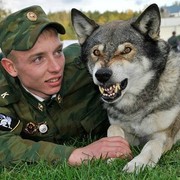 ���������� �������-�����, ���� ������� �������, 33 ����, ������������ ��� ������, ����� � ���������, c�������� ���������