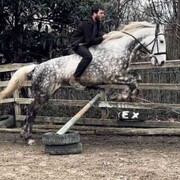 ���������� ����, ���� ����� �����, 23 ����, ������������ ��� ������, ����� � ���������, c�������� ���������