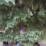  ,   , 55 ,   ,   