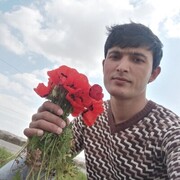 ���������� ������, ���� ������� �����, 29 ���, ������������ ��� ������, ����� � ���������, c�������� ���������