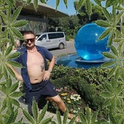  ,   IGOR, 50 ,   ,   , c 