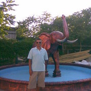  ,   , 50 ,     , c 