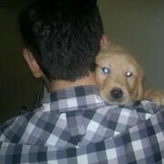  ,   Erol, 42 ,   ,   