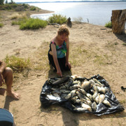  ,   , 66 ,   ,   , c , 