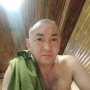  -,   , 39 ,   
