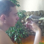  ,   , 38 ,   
