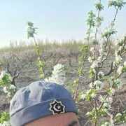  ,   Abduraxim, 50 ,   ,   , c , 