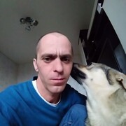 ���������� ����, ���� ������� �������, 44 ����, ������������ ��� c�������� ���������