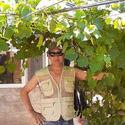  ,   , 61 ,   ,   , c 