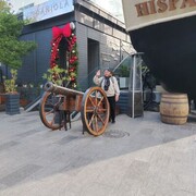 ���������� ������, ���� ������� �������, 66 ���, ������������ ��� c�������� ���������