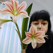 ���������� �������, ���� ������� ����, 41 ���, ������������ ��� ������, ����� � ���������, c�������� ���������