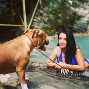 ���������� ���������, ���� ������� ���������, 33 ����, ������������ ��� c�������� ���������