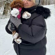 ���������� �����, ���� ������� ��������, 56 ���, ������������ ��� c�������� ���������