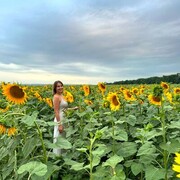 ���������� ����, ���