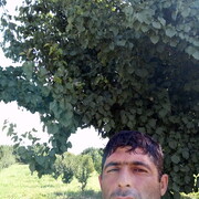  ,   Gevorg, 37 ,   ,   