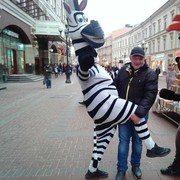 ���������� ���������, ���� ������� �����, 46 ���, ������������ ��� ������, ���������