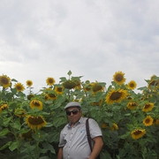  ,   , 53 ,     , c 