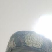  -,   , 21 ,   , 