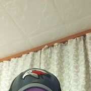 ���������� �����������, ���� ������� ���������, 43 ����, ������������ ��� ������, ����� � ���������