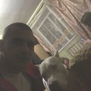 ���������� ������, ���� ������� �����, 31 ���, ������������ ��� ������, ����� � ���������