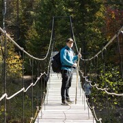 ���������� ���������, ���� ������� �������, 35 ���, ������������ ��� ������, ����� � ���������