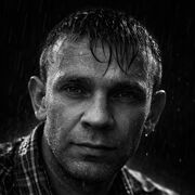 ���������� ����, ���� ������� �������, 44 ����, ������������ ��� ������, ����� � ���������