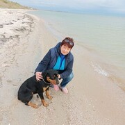  ,   , 61 ,   c 