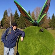 ���������� �������, ������� ���������, 41