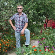  ,   Tirafael, 46 ,   