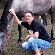  ,   , 49 ,   ,   