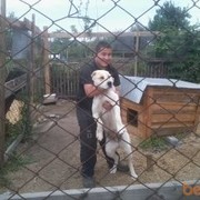 ���������� ����-�����������, ���� ������� Aslan, 34 ����, ������������ ��� ������, ����� � ���������, c�������� ���������, ���������