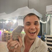 ���������� ������, ���� ������� ���������, 36 ���, ������������ ��� ������, ����� � ���������, c�������� ���������