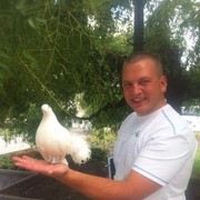 ���������� ������, ���� ������� �����, 45 ���, ������������ ��� ������, ����� � ���������, c�������� ���������