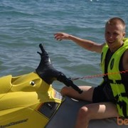 ���������� ������, ���� ������� �������, 36 ���, ������������ ��� ������, ����� � ���������, c�������� ���������