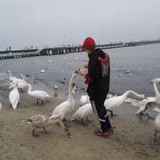  ,   , 35 ,   ,   , c 