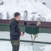 ���������� ���, ���� ������� ������, 30 ���, ������������ ��� ������, ����� � ���������, c�������� ���������, ���������