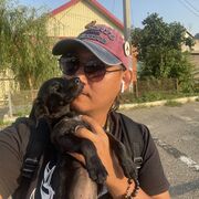 ���������� ������, ���� ������� ������, 34 ����, ������������ ��� ������, ����� � ���������