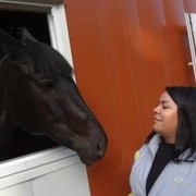 ���������� �������, ���� ������� ������, 36 ���, ������������ ��� ������, ����� � ���������, c�������� ���������