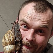 ���������� ���������, ���� ������� �����, 37 ���, ������������ ��� ������, ����� � ���������, c�������� ���������