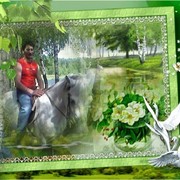 ���������� ������, ���� ������� ����, 56 ���, ������������ ��� ������, ����� � ���������, c�������� ���������