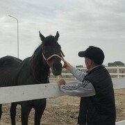 ���������� ���������, ���� ����� ������, 24 ����, ������������ ��� ������, ����� � ���������