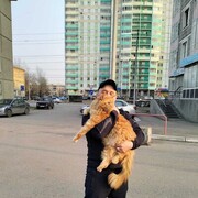 ���������� ����������, ���� ������� ���������, 42 ����, ������������ ��� ����� � ���������, c�������� ���������