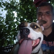  ,   , 41 ,   ,   , c 