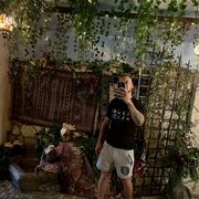 ���������� ������, ���� ������� ������, 26 ���, ������������ ��� ������, ����� � ���������