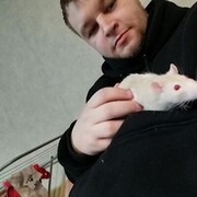 ���������� �����������, ���� ������� ��������, 28 ���, ������������ ��� ������, ����� � ���������, ���������